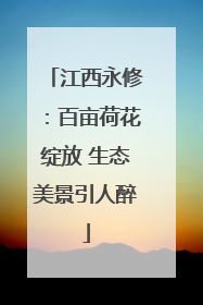 江西永修：百亩荷花绽放 生态美景引人醉