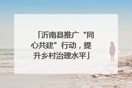 沂南县推广“同心共建”行动，提升乡村治理水平