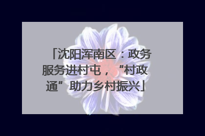 沈阳浑南区：政务服务进村屯，“村政通”助力乡村振兴