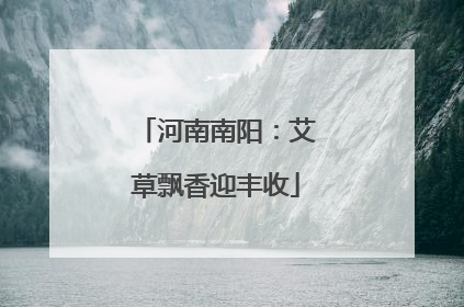 河南南阳：艾草飘香迎丰收