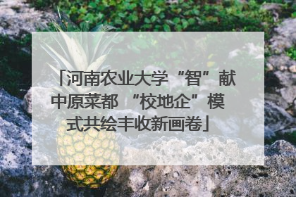 河南农业大学“智”献中原菜都 “校地企”模式共绘丰收新画卷