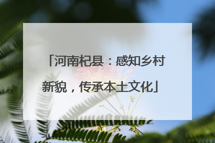 河南杞县：感知乡村新貌，传承本土文化