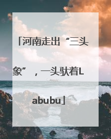 河南走出“三头象”，一头驮着Labubu