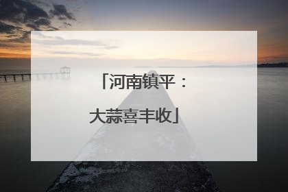 河南镇平：大蒜喜丰收