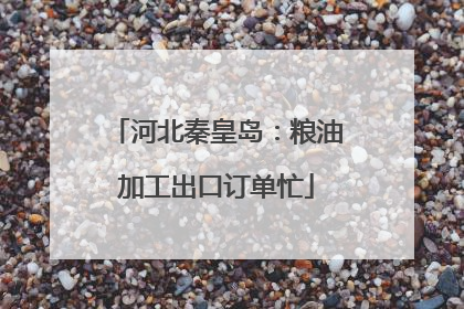 河北秦皇岛：粮油加工出口订单忙