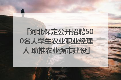 河北保定公开招聘500名大学生农业职业经理人 助推农业强市建设