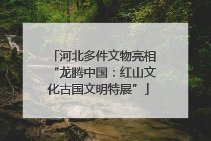 河北多件文物亮相“龙腾中国：红山文化古国文明特展”
