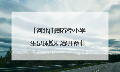 河北曲周春季小学生足球锦标赛开幕