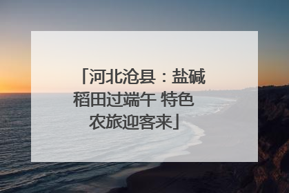 河北沧县：盐碱稻田过端午 特色农旅迎客来
