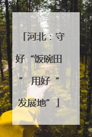 河北：守好“饭碗田” 用好“发展地”