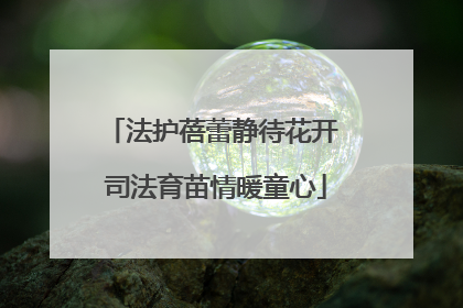 法护蓓蕾静待花开 司法育苗情暖童心