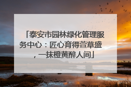 泰安市园林绿化管理服务中心：匠心育得萱草盛，一抹橙黄醉人间
