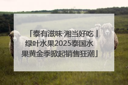 泰有滋味·湘当好吃丨绿叶水果2025泰国水果黄金季掀起销售狂潮