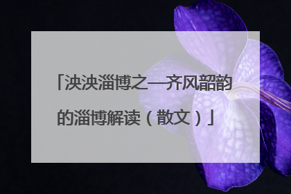 泱泱淄博之—齐风韶韵的淄博解读（散文）