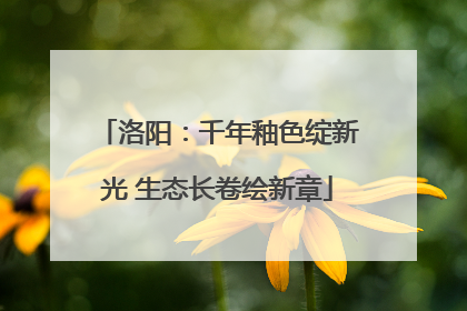 洛阳：千年釉色绽新光 生态长卷绘新章