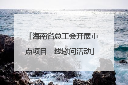 海南省总工会开展重点项目一线慰问活动