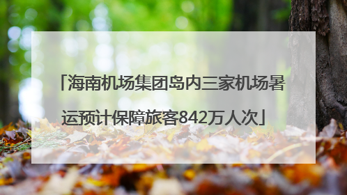 海南机场集团岛内三家机场暑运预计保障旅客842万人次