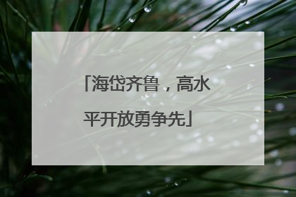 海岱齐鲁，高水平开放勇争先