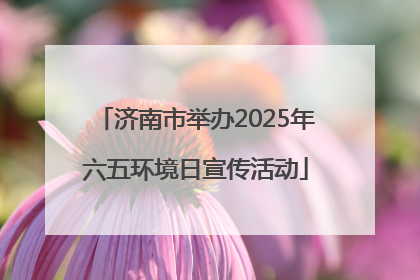 济南市举办2025年六五环境日宣传活动