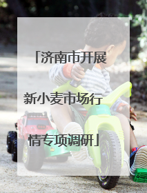 济南市开展新小麦市场行情专项调研