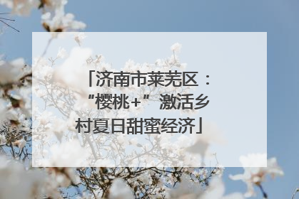 济南市莱芜区：“樱桃+”激活乡村夏日甜蜜经济