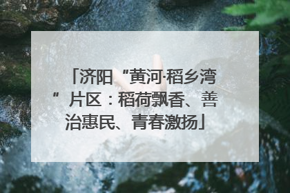 济阳“黄河·稻乡湾”片区：稻荷飘香、善治惠民、青春激扬