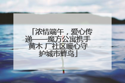 浓情端午，爱心传递——魔方公寓携手黄木 厂社区暖心守护城市蜂鸟