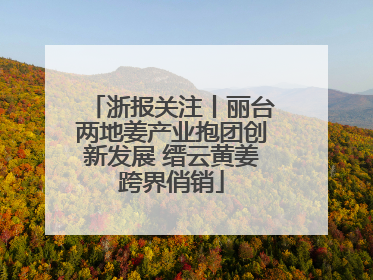 浙报关注丨丽台两地姜产业抱团创新发展 缙云黄姜跨界俏销