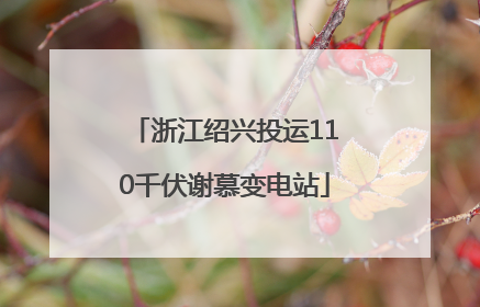 浙江绍兴投运110千伏谢慕变电站