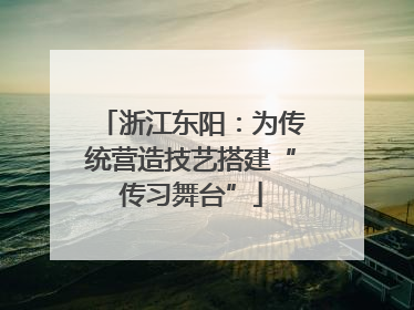 浙江东阳：为传统营造技艺搭建“传习舞台”