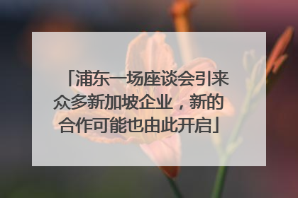 浦东一场座谈会引来众多新加坡企业，新的合作可能也由此开启