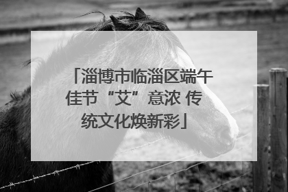 淄博市临淄区端午佳节“艾”意浓 传统文化焕新彩