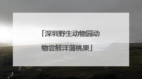 深圳野生动物园动物尝鲜洋蒲桃果