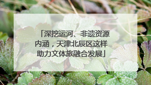 深挖运河、非遗资源内涵，天津北辰区这样助力文体旅融合发展