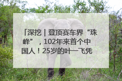 深挖｜登顶赛车界“珠峰”，102年来首个中国人！25岁的叶一飞凭什么创造历史？