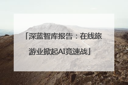 深蓝智库报告：在线旅游业掀起AI竞速战