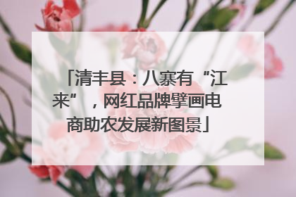 清丰县：八寨有“江来”，网红品牌擘画电商助农发展新图景