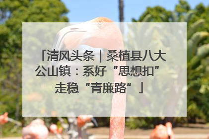 清风头条｜桑植县八大公山镇：系好“思想扣” 走稳“青廉路”