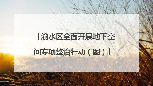 渝水区全面开展地下空间专项整治行动（图）