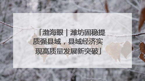 渤海眼｜潍坊固稳提质强县域，县域经济实现高质量发展新突破