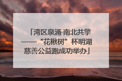 湾区泉涌·南北共擎——“花楸树”杯明湖慈善公益跑成功举办