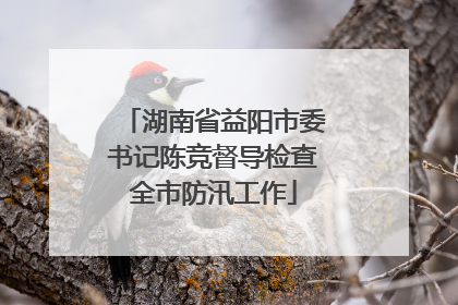 湖南省益阳市委书记陈竞督导检查全市防汛工作