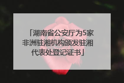 湖南省公安厅为5家非洲驻湘机构颁发驻湘代表处登记证书