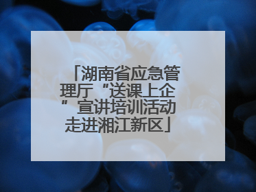 湖南省应急管理厅“送课上企”宣讲培训活动走进湘江新区