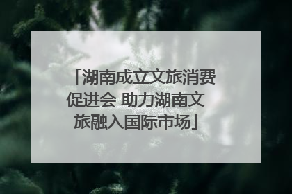 湖南成立文旅消费促进会 助力湖南文旅融入国际市场