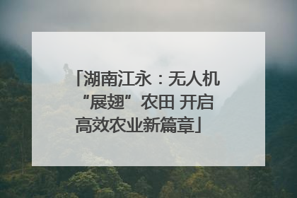 湖南江永：无人机“展翅”农田 开启高效农业新篇章