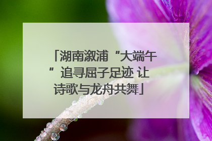 湖南溆浦“大端午”追寻屈子足迹 让诗歌与龙舟共舞