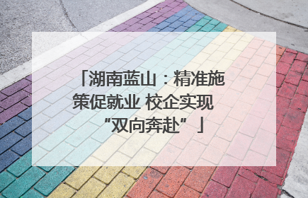 湖南蓝山：精准施策促就业 校企实现“双向奔赴”