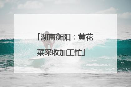 湖南衡阳：黄花菜采收加工忙