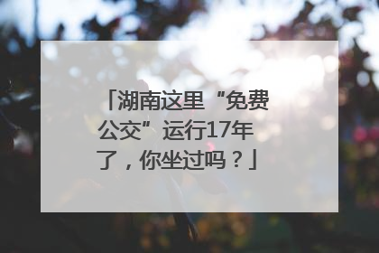 湖南这里“免费公交”运行17年了，你坐过吗？